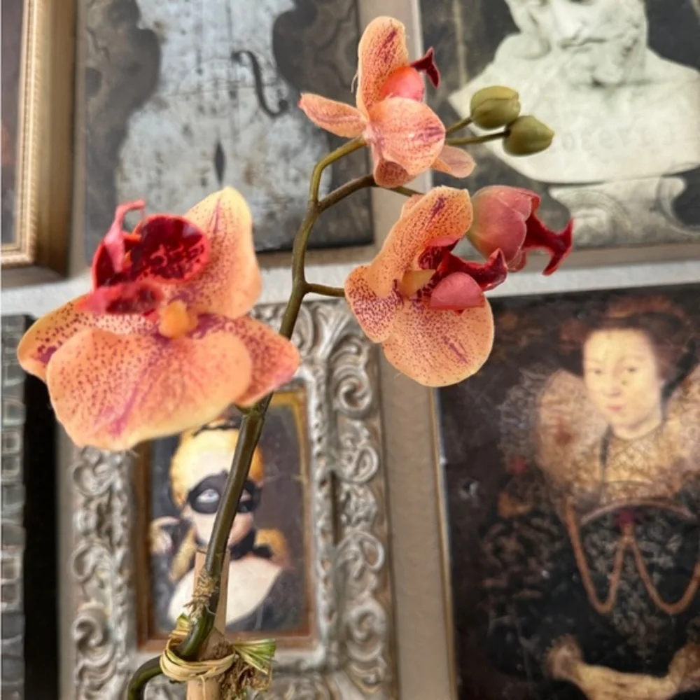 Diane James Home Faux‎ Orchid Arrangement